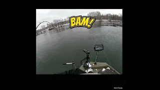 Jigging musky using Garmin livescope!!