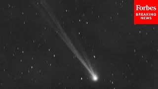 Don’t Forget To Look Up: Newly Discovered Comet Nishimura Visible For First Time In 400 Years