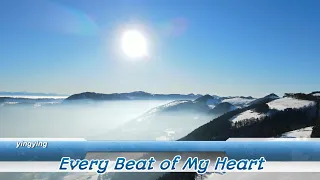 Every Beat of My Heart 我的每一次心跳 / Rod Stewart [ 中英歌詞 ]