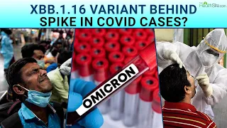 Covid Cases In India: Is Omicron Variant XBB.1.16 Reason Behind Spike In Covid-19 Cases?