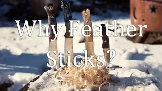 Why Feather Sticks?