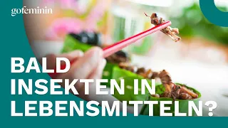 Superfood Insekten: Sind die Krabbeltiere unbedenklich?