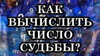 Как рассчитать Ваше число Жизненного Пути по дате рождения?  Узнайте своё Предназначение