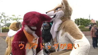 もこいちがかわいい動画