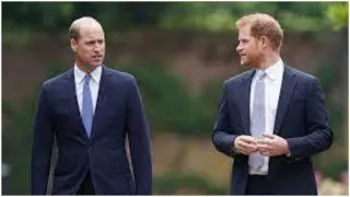 Prince Harry: The one question he refused to answer about Prince William
