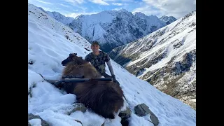 TO SHOOT A TAHR YOU GOTTA BE A TAHR | Epic Rutting Bull Tahr Hunting | 2023