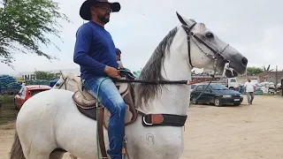 FEIRA DE CAVALOS EM CARUARU-PE   29-08-2023  #nordeste