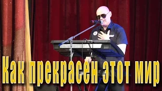 Как прекрасен этот мир (Давид Тухманов, Владимир Харитонов). ВИА «Мы из СССР» в ДК города Жуковский