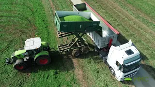 Vining Pea Harvest 2018