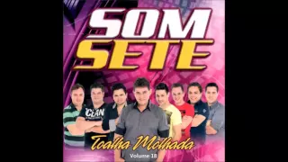 Som Sete Toalha Molhada ● CD COMPLETO