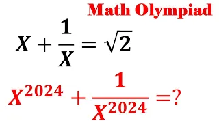 Olympiad Mathematics X^2024+1/X^2024, An Algebra Problem, Equation Solving, Math Olympiad Problem