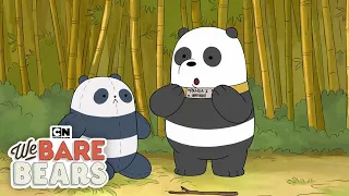 Origin Stories | We Bare Bears | Cartoon Network