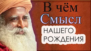 В чем смысл нашего рождения.