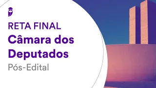 Reta Final Câmara dos Deputados Pós-Edital: Administração Pública - Prof. Elisabete Moreira