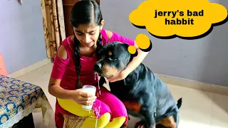 My dog broke a glass of milk||funny dog videos||rottweiler dog.