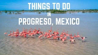 Things to do in Progreso, Yucatan, Mexico