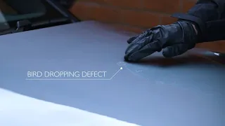Reflow - Bird Dropping Etching Mark Remover