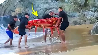 7 PENEMUAN ANEH DI PANTAI YANG SEMPAT BIKIN GEMPAR DUNIA, ADA LOBSTER RAKSASA!! - kejadian aneh