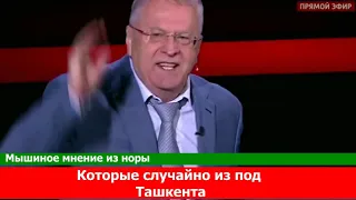 Казахи размазали Жириновского Казах Тулун построил первую в мире больницу