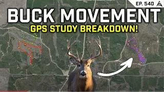 How, When & Why Bucks Navigate the Landscape - MSU Buck Movement GPS Study! - EP. 540