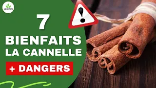 CANNELLE : SES BIENFAITS ET DANGERS POUR LA SANTE