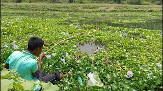 Amazing Fishing Video | Catching Fish by Hook | Traditional Hook Fishing in River