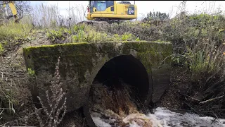 Beaver dam in a pipe