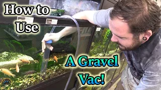 How to Use an Aqueon Siphon Vacuum Gravel Cleaner to Clean Your Aquarium!  🐠