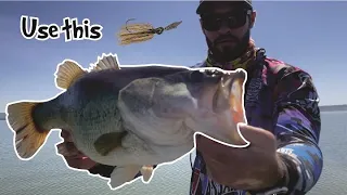 How to CATCH GIANT BASS at Albert Falls RIGHT NOW !! Bass Fishing South Africa.