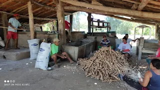 FARINHADA NA SERRA DO ARARIPE NO ESTADO DO CEARÁ