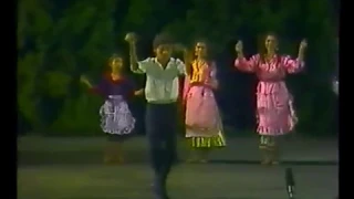 1990 Budai parkszinpad Győriek, Rom po drom együttes