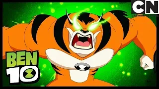 Ben Is Not Careful With Nature! | Summer Breakers | Ben 10 | Cartoon Network