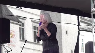 Tiesiogiai: Lietuvos šeimų sąjūdžio mitingas prie Vilniaus arkikatedros