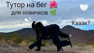 Туториал на бег по квадробике для новичков🍄)) Как начится бегать? 🌿✨