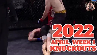 MMA & Boxing Knockouts, May 2022 Week 1, HD