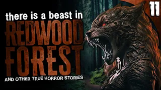 "The Beast of the Redwood Forest" | 11 TRUE Horror Stories