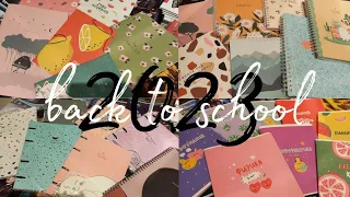 019. BACK TO SCHOOL 2023 | STATIONARY HAUL |покупка эстетичной канцелярии | обзор магазинов