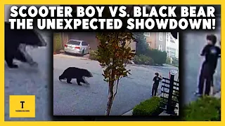 7-Year-Old Encounters Massive Bear While Riding Scooter | USA News | TUN