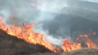 Texas A&M Forest Service discusses massive panhandle wildfire