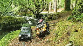 Crawlers in the lush summer forest #rccrawler #traxxas