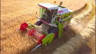 Claas Dominator 58s am Wintergerste dreschen 2019