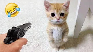 Funniest Dogs And Cats Video 😅 - Best Funny Animal Video 2023 😁 #79