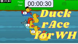 Duck Races for WH