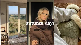 cosy autumn days in cornwall vlog: padstow, st ives & falmouth