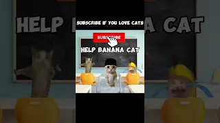 BANANA CAT AND HAPPY CAT HAD A MATH CLASS 📝😢 #catmemes #funny #shorts #fyp #happycat #bananacat