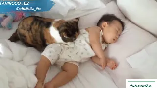 مواقف مضحكة Cat Loves Babies