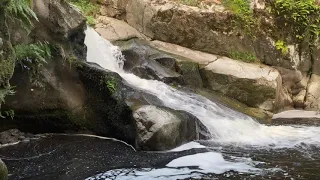 15 Minutes of Forest & Waterfalls with Relaxing and Meditating Music