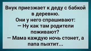 Сын Услышал Как Мама Ночью Стонет! Сборник Свежих Анекдотов! Юмор!