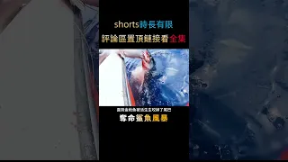 釣大魚半路卻遭程咬金，爛魚當誘餌反倒出王炸，上鉤才知鹿死誰手#shorts