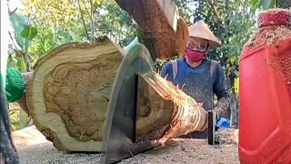 Pantas mahal !! jenis  jati paling dicari bahan mebel kayu